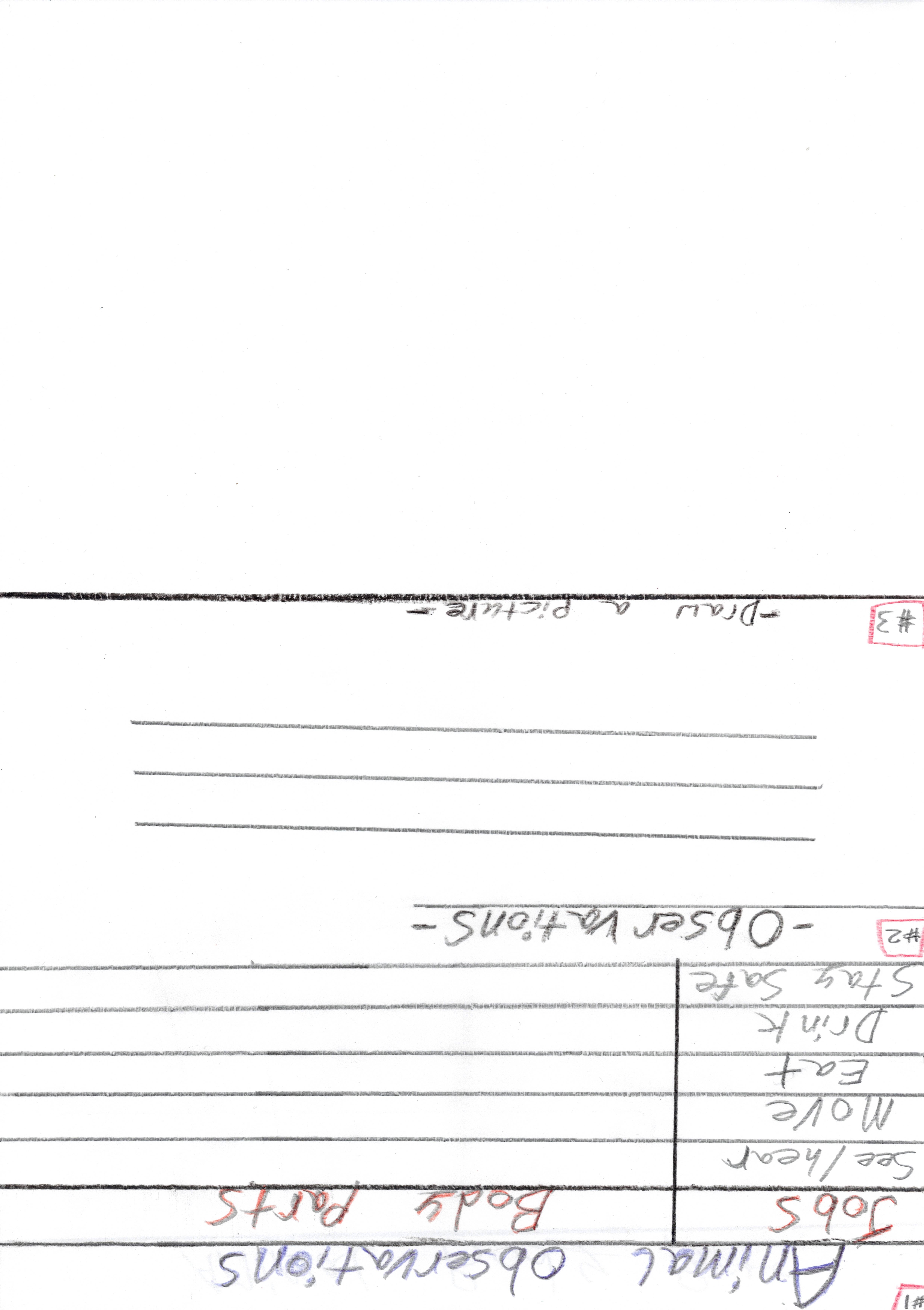 observe animal parts-outline